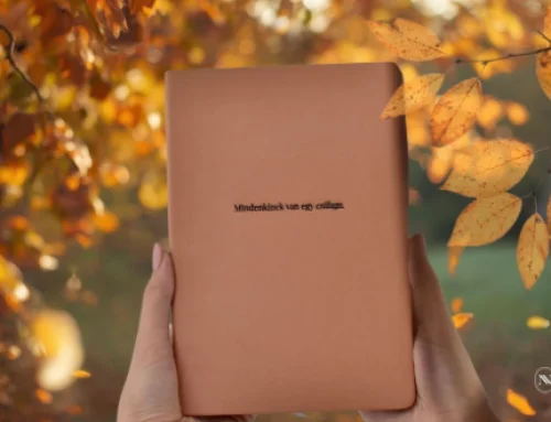 Őszi mentális nagytakarítás: hogyan rakj rendet magadban és a naptáradban?